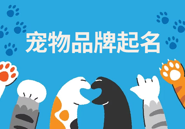 探索寵物品牌起名的奧秘：技巧、來歷與差異