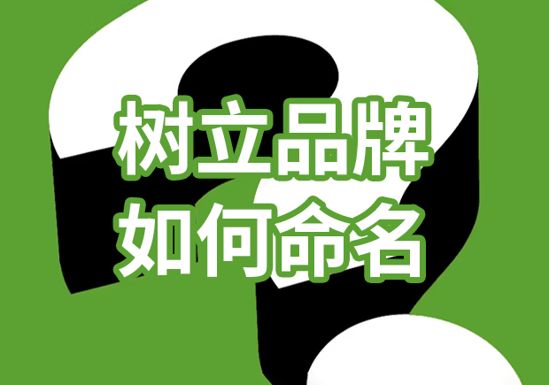 品牌獨角獸：樹立品牌如何命名，引爆市場熱潮