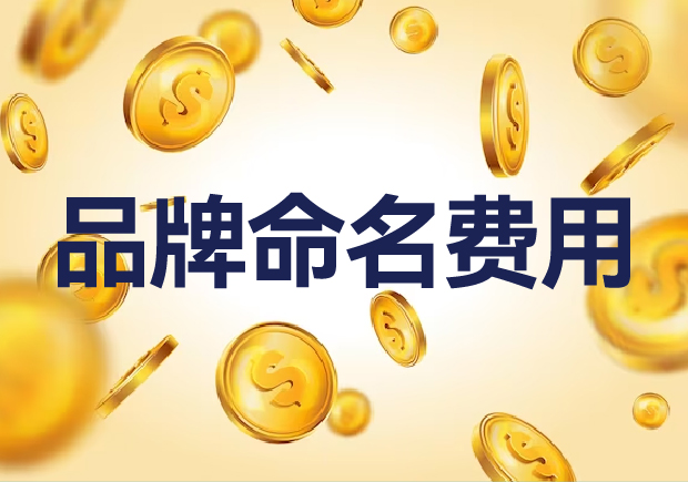國(guó)內(nèi)外品牌命名費(fèi)用是多少？