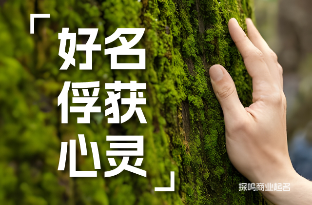 實(shí)操方法-肉食品牌起名的4個方向.jpg